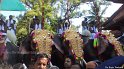 thrissur-pooram-2013-1 (34)